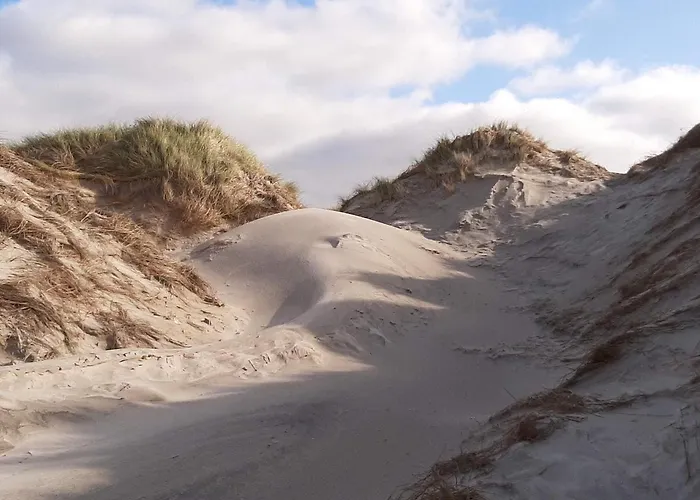 Bright House With Sauna - By Traum *