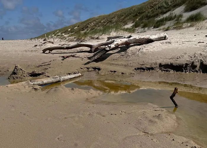 Hébergement de vacances Bright House With Sauna - By Traum Vejers Strand